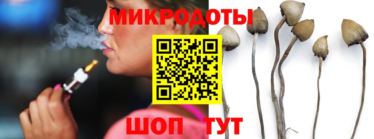 Галлюциногенные грибы Psilocybe Нижний Тагил